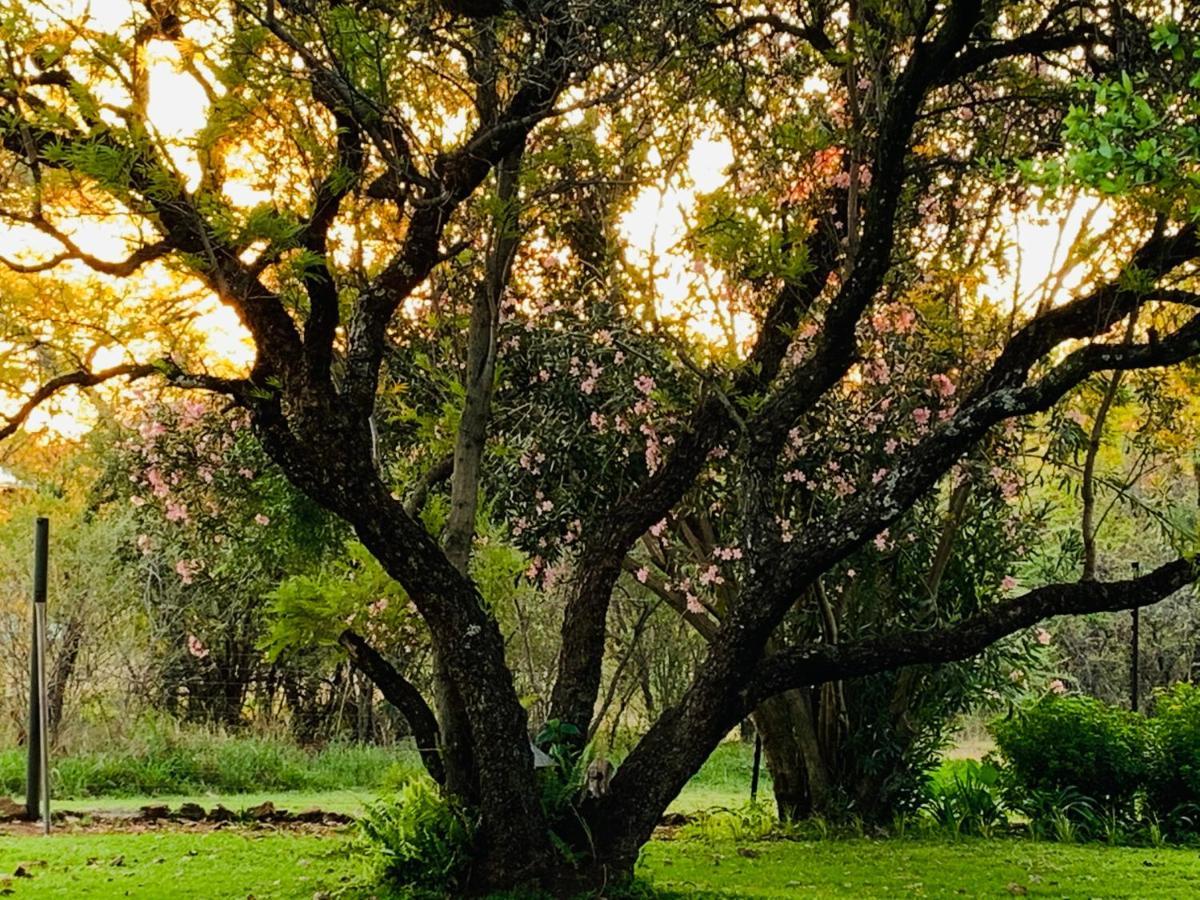 Farm Vibes Guesthouse Brits Εξωτερικό φωτογραφία